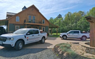 Local Pest Control vs. Big Chains: What’s the Difference?